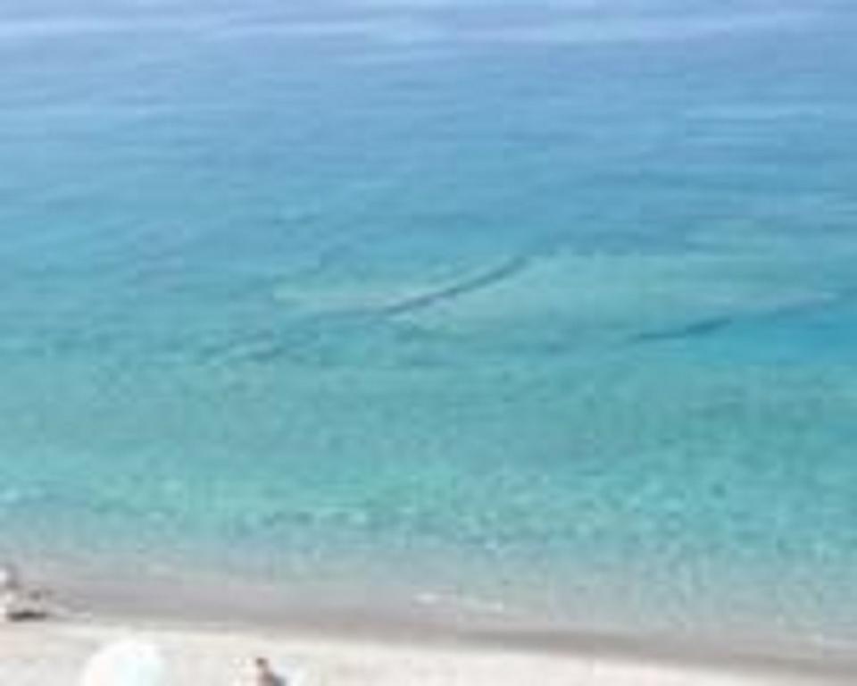 Terrazza Sul Mare Apartment Gioiosa Marea Exterior foto